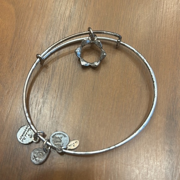 Alex And Ani Silver Crown Bangle - Picture 4 of 5